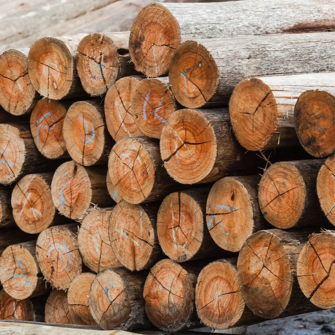 Custom Timber