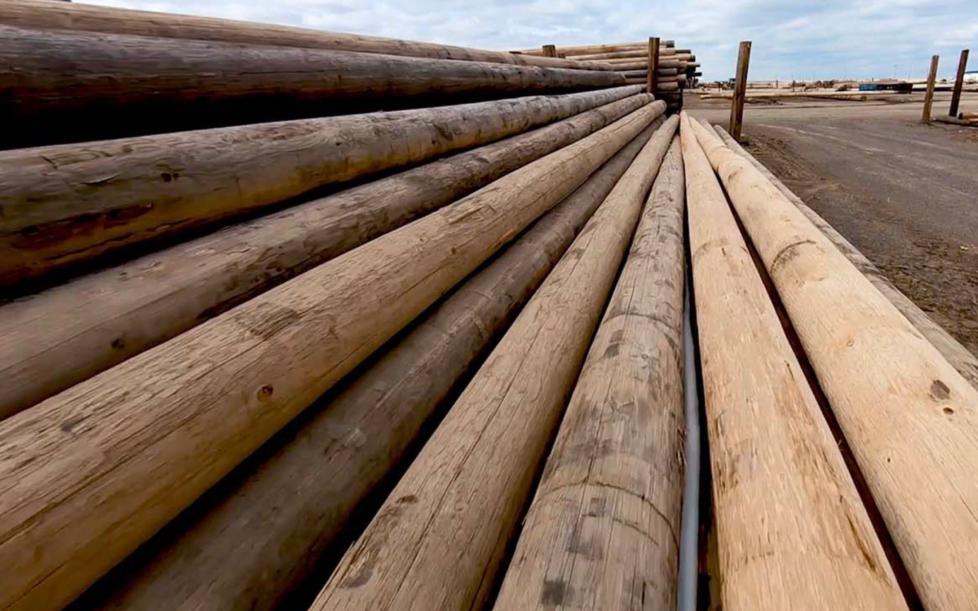 Wood Treatment Plant 1