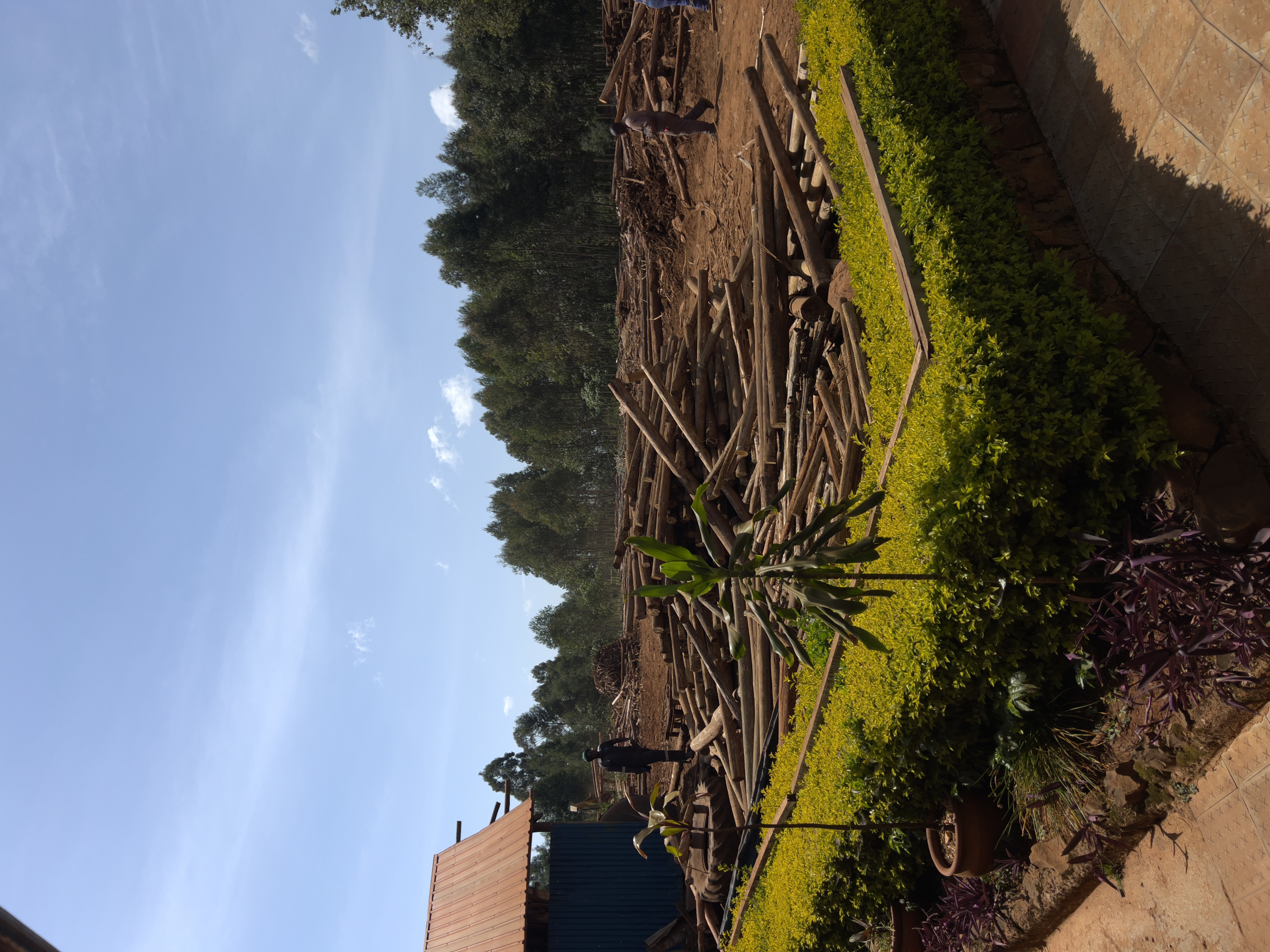 Wood Treatment Plant 4