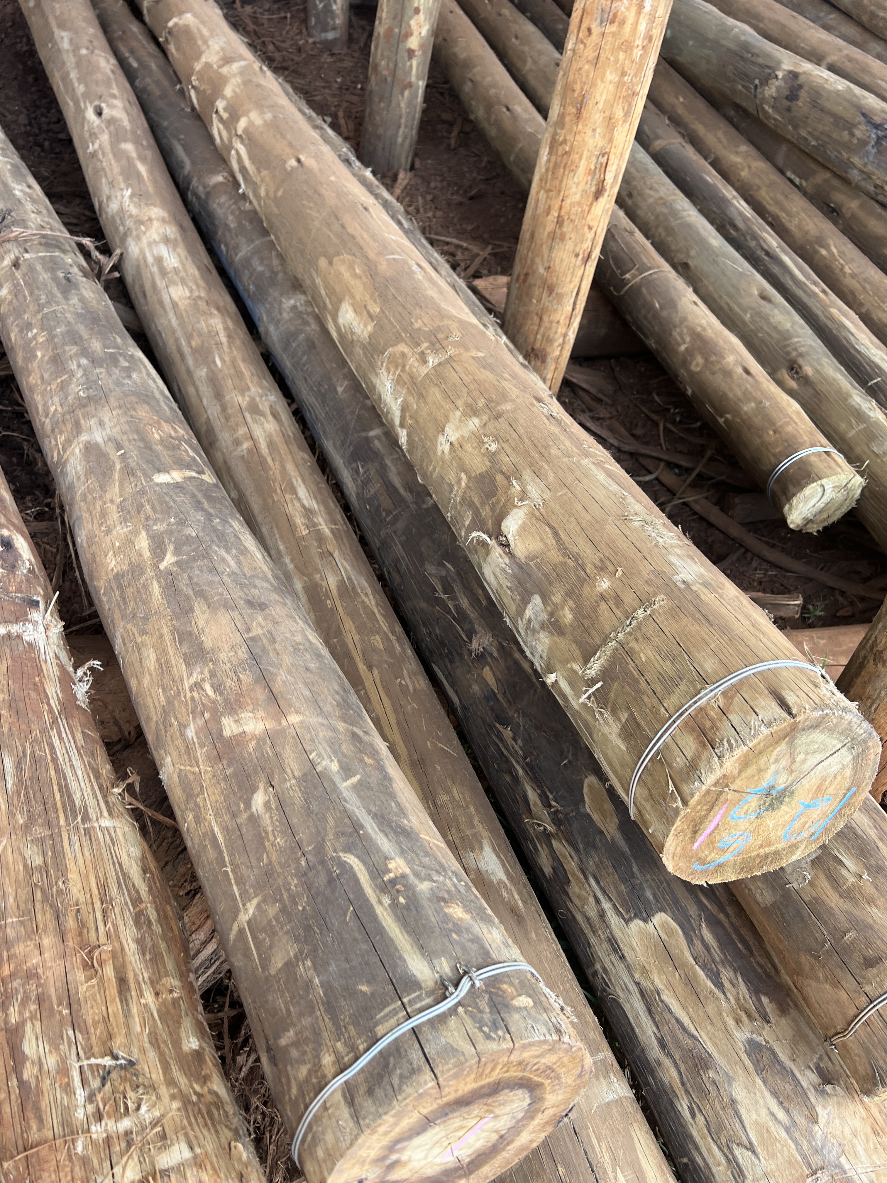 Structural Timber